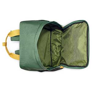 خرید کوله پشتی لپ تاپ دلسی مدل جیپ رنگ سبز چمدان ایران - JEEP DELSEY PARIS 374660013 chamedaniran
