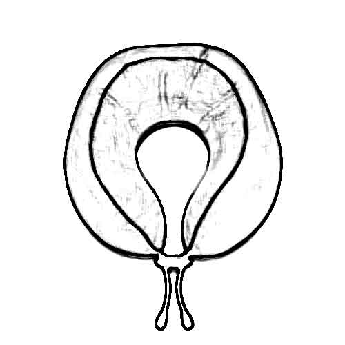 اکسسوری