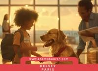 شرایط مهاجرت با حیوان خانگی; راهنمای جامع برای سفر ایمن و قانونی با پت