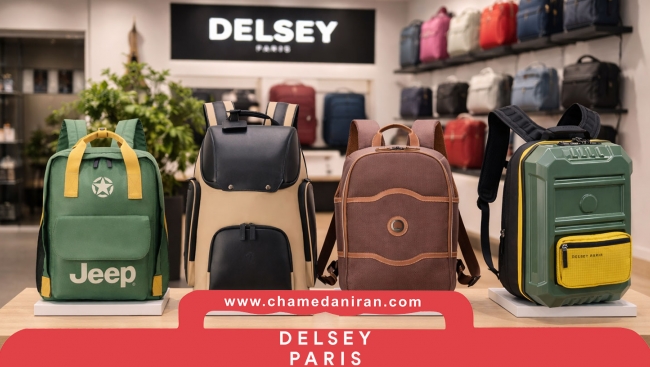 راهنمای کامل خرید کوله‌ پشتی های دلسی(DELSEY)، معرفی مدل‌ها، ویژگی‌ها ونکات مهم قبل از خرید