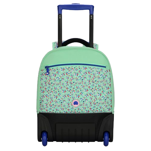 خرید کوله پشتی چرخ دار عمودی کودک دلسی پاریس مدل گلها رنگ سبز دلسی ایران - DELSEY PARIS BACK TO SCHOOL 2017 00339465023 delseyiran