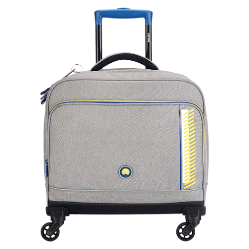 قیمت و خرید کیف چرخ دار مدرسه ای افقی کودک دلسی پاریس رنگ خاکستری دلسی ایران - DELSEY SCHOOLBAG 4-WHEEL 2019 00339245212 delseyiran