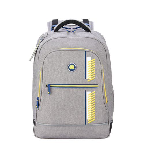 خرید کوله پشتی دلسی مدرسه ای 15.6 اینچ 2 تبله دلسی پاریس رنگ خاکستری دلسی ایران - DELSEY PARIS TROLLEY BACKPACK 00339262111 delseyiran