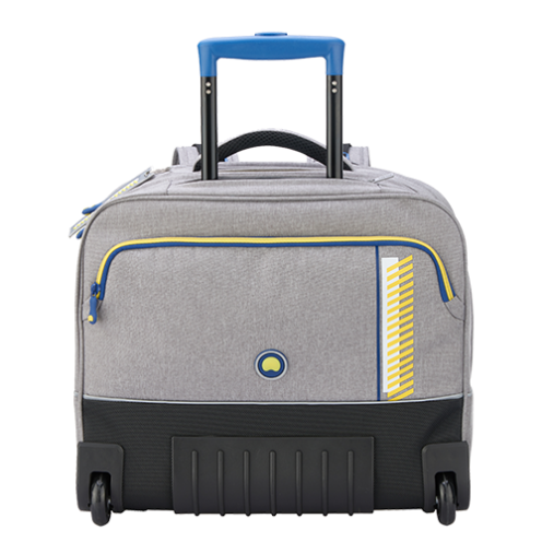 قیمت کیف چرخ دار مدرسه ای افقی 15.6 اینچ کودک دلسی پاریس رنگ خاکستری دلسی ایران - DELSEY PARIS TROLLEY BACKPACK 2019 00339265111 delseyiran