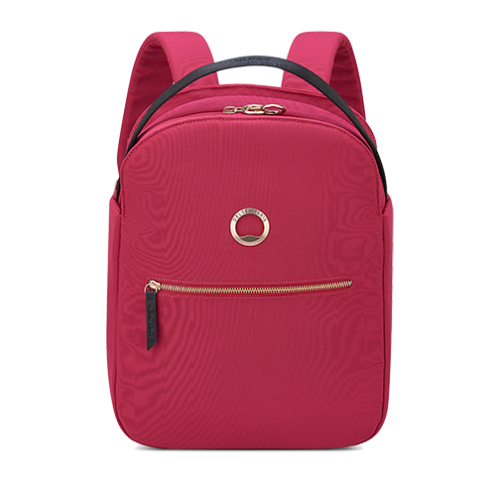 کوله پشتی لپ تاپی دلسی مدل سکیور استایل 14 اینچ رنگ صورتی ایران - DELSEY PARIS SECURSTYLE BACKPACK 00202161009 delseyiran
