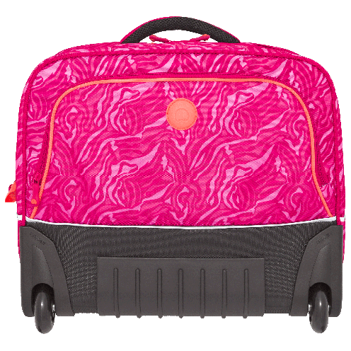 قیمت و خرید کیف چرخ دار مدرسه ای دلسی مدل 2015 رنگ قرمز دلسی ایران - DELSEY PARIS BACK TO SCHOOL 2015 00339665119 delseyiran