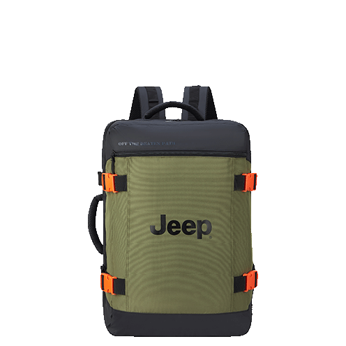 خرید کوله پشتی دلسی مدل جیپ رنگ سبز دلسی ایران - JEEP DELSEY PARIS 374064145 chamedaniran
