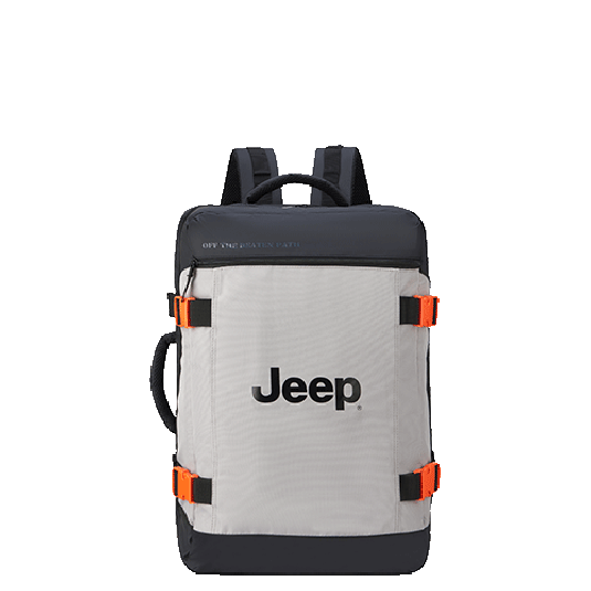 خرید کوله پشتی دلسی مدل جیپ رنگ خاکستری دلسی ایران - JEEP DELSEY PARIS 374064111 chamedaniran