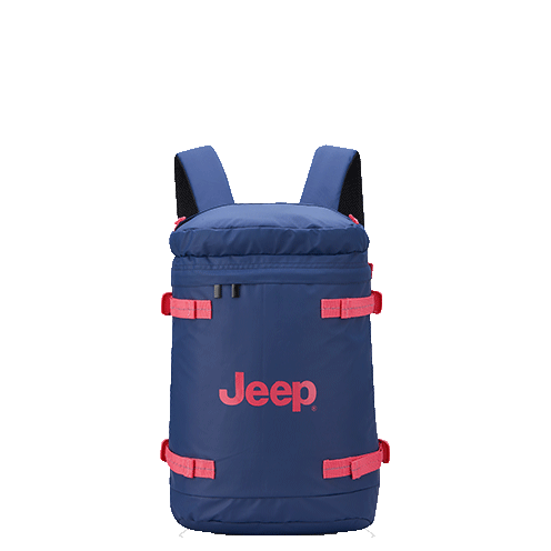 خرید کوله پشتی لپ تاپ دلسی مدل جیپ رنگ آبی چمدان ایران - JEEP DELSEY PARIS 374260002 chamedaniran