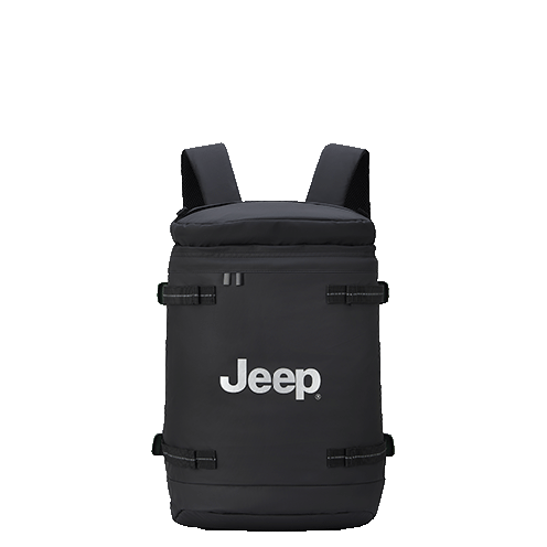 خرید کوله پشتی لپ تاپ دلسی مدل جیپ رنگ مشکی چمدان ایران - JEEP DELSEY PARIS 374260000 chamedaniran