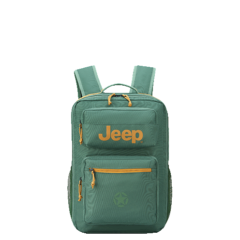 خرید کوله پشتی لپ تاپ دلسی مدل جیپ کوله پشتی چند منظوره رنگ سبز چمدان ایران - JEEP DELSEY PARIS 274761013 chamedaniran
