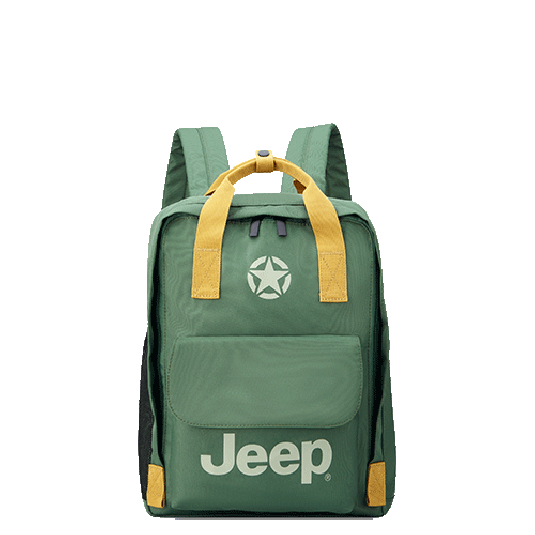 خرید کوله پشتی لپ تاپ دلسی مدل جیپ رنگ سبز چمدان ایران - JEEP DELSEY PARIS 374660013 chamedaniran