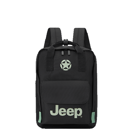 خرید کوله پشتی لپ تاپ دلسی مدل جیپ رنگ مشکی چمدان ایران - JEEP DELSEY PARIS 374660000 chamedaniran