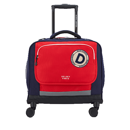 خرید و قیمت کیف دلسی چرخ دار مدرسه ای 15.6 اینچ دلسی پاریس رنگ قرمز چمدان ایران - DELSEY PARIS HORIZONTAL TROLLEY  00339045214 chamedaniran