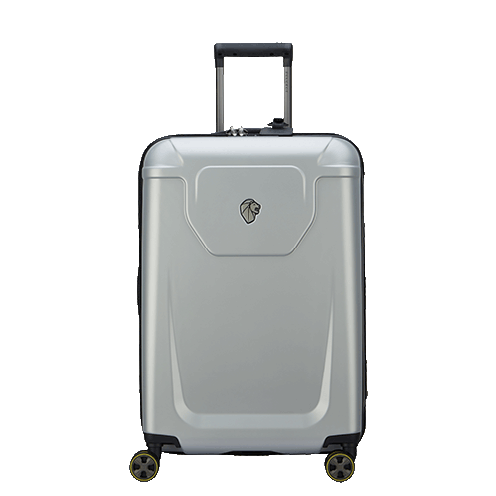 خرید چمدان دلسی مدل پژو سایز متوسط رنگ خاکستری چمدان ایران - delsey paris PEUGEOT ZIP 00100781011 chamedaniran
