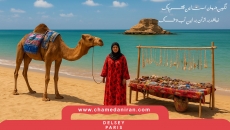 جزیره قشم؛ نگین خلیج فارس و سرزمین شگفتی‌ها
