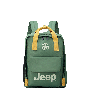 خرید کوله پشتی لپ تاپ دلسی مدل جیپ رنگ سبز چمدان ایران - JEEP DELSEY PARIS 374660013 chamedaniran