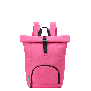 خرید کوله پشتی دلسی مدل بی ای رول تاپ رنگ صورتی چمدان ایران -  BE BE ROLLTOP BACKPACK DELSEY PARIS 376361009 chamedaniran