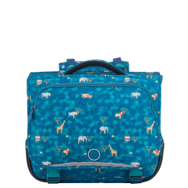 کیف مدرسه ای دلسی