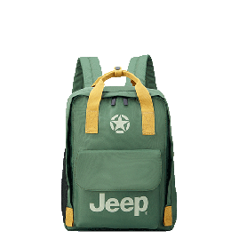 خرید کوله پشتی لپ تاپ دلسی مدل جیپ رنگ سبز چمدان ایران - JEEP DELSEY PARIS 374660013 chamedaniran